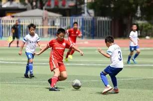 杨幂伯父清,华授课引关,体型健硕风,征途国际厅下载,征途国际厅娱乐,征途国际厅官网,征途国际厅a超凡国际
